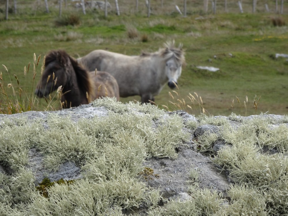 14e31f52-1a5d-442f-ad95-793f2f568e16