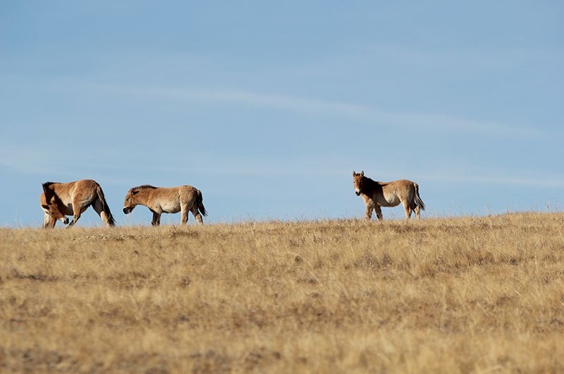 1458D762-280F-4E1A-8C8E-786F451E4BA5