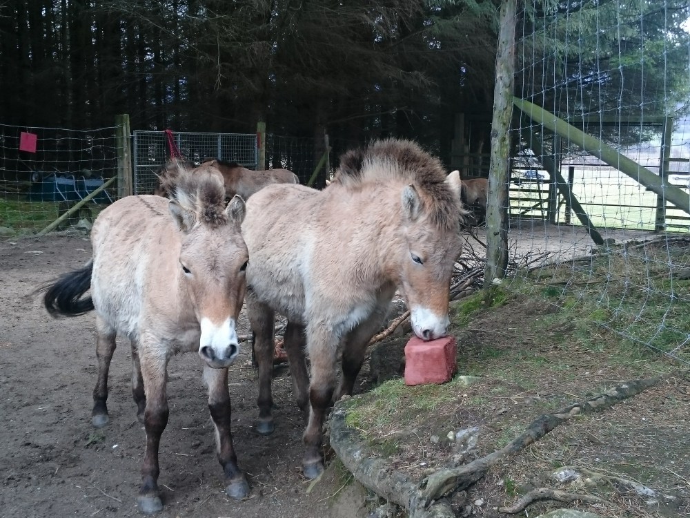 B92F726E-D9DE-498D-BBE7-E60CF1E355F5