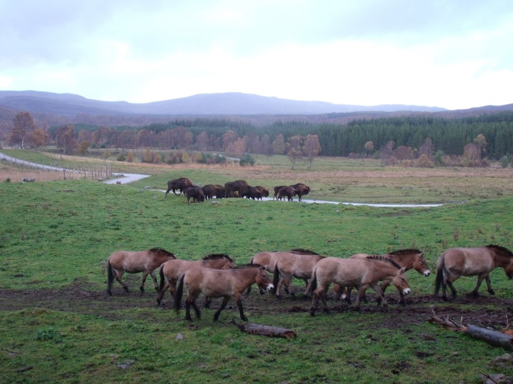 DA8882E3-35F0-4A4F-AF56-15DD81CB55DB