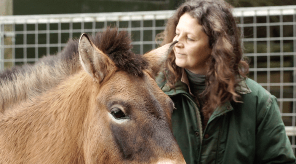 Screen Shot 2017-09-27 at 11.23.27